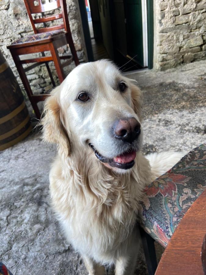 Geoghegans Magpie Bar And B&B Glin Extérieur photo